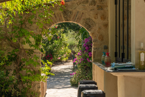 Sunlit stone archway leading to a garden terrace with flowers and olive trees in Provence.