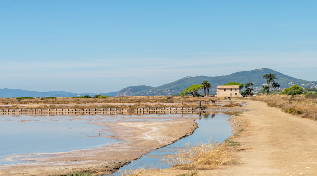 Hyères – flamingo’s, havenleven & oude straatjes