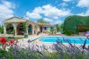 Villa in Saint-Césaire-de-Gauzignan - Vignes Villa in Saint-Césaire-de-Gauzignan - Vignes