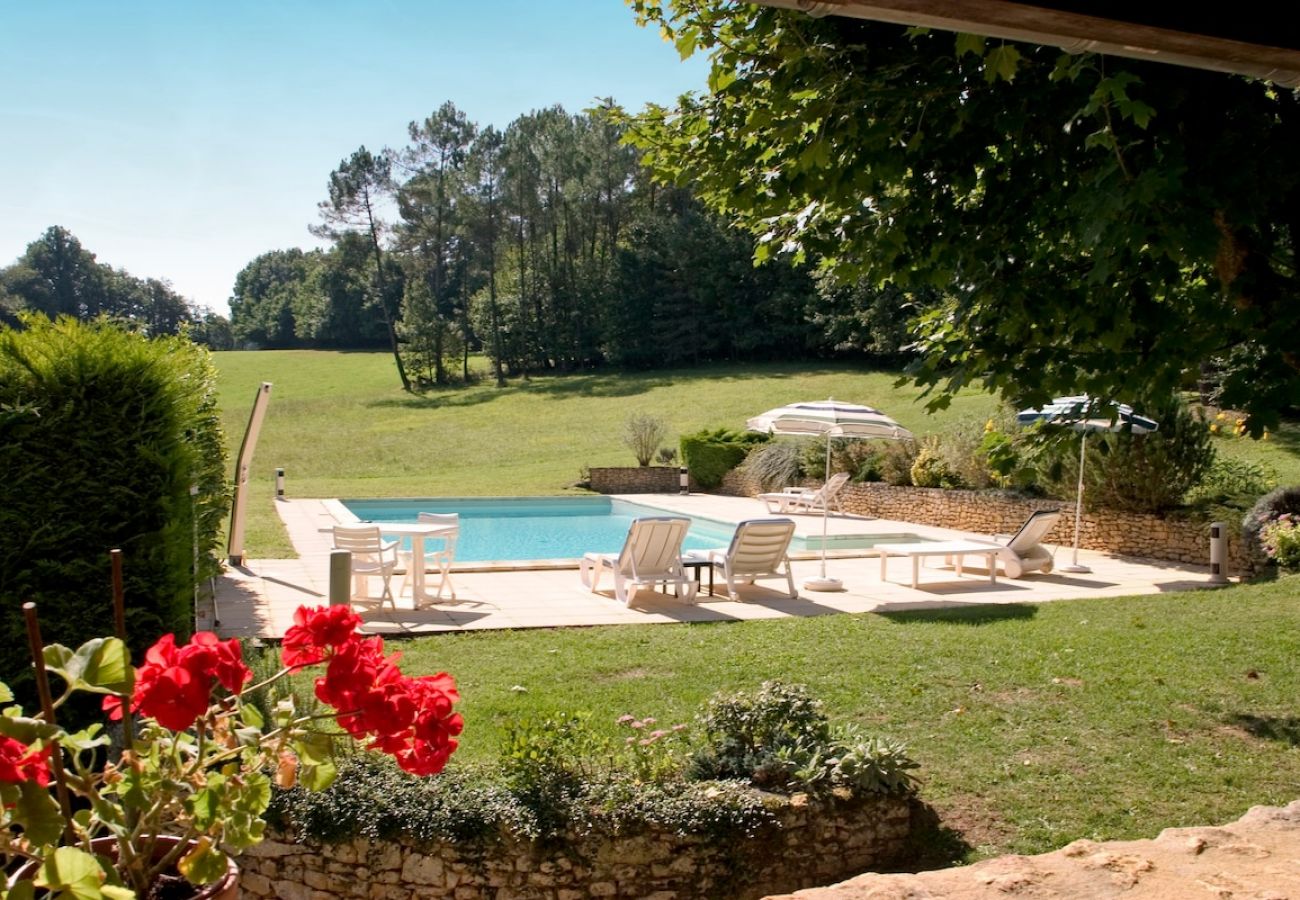 Villa in Saint-Avit-Sénieur - Senieur