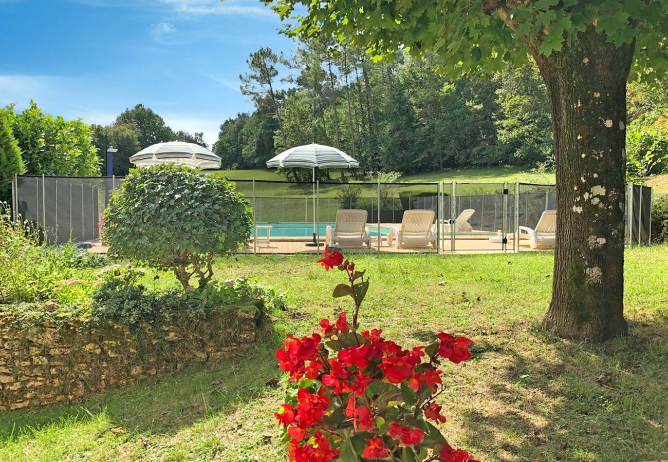 Villa in Saint-Avit-Sénieur - Senieur