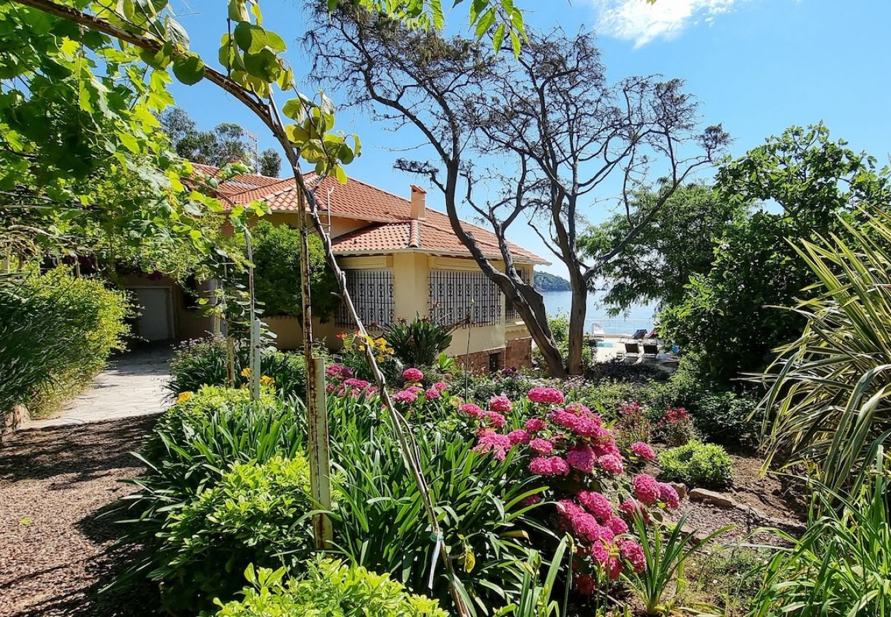 Villa in Théoule-sur-Mer - Lou Cade