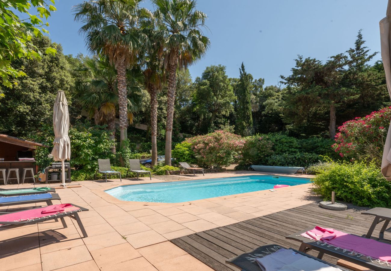 Villa in Sainte-Maxime - Ambiance