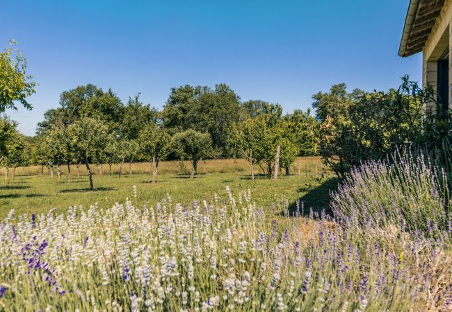 Villa in Saint-Germain-des-Prés - Le Mirambeau Villa in Saint-Germain-des-Prés - Le Mirambeau