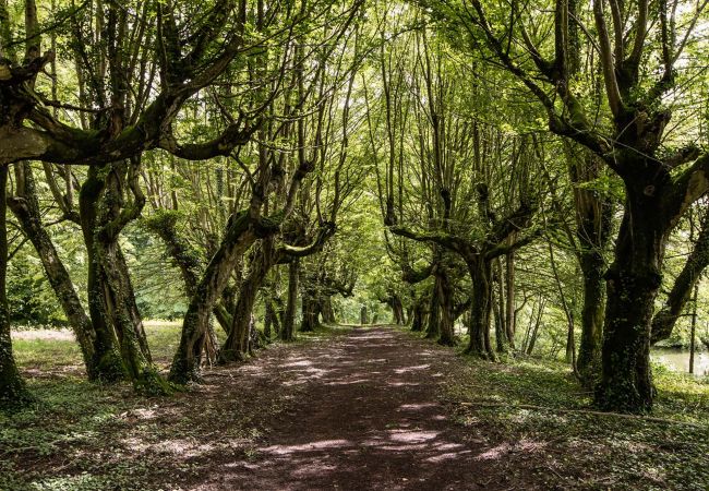 Villa in Vescours - Château de Montsymond Villa in Vescours - Château de Montsymond