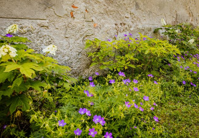 Villa in Bilhac - Puymerle Villa in Bilhac - Puymerle