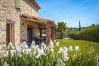 Villa in Lorgues - L'Olivier Doux Villa in Lorgues - L'Olivier Doux