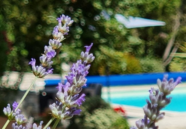 Villa 83Bold, Garten mit Lavendel, Kräutern und weitem Blick, Lorgues, Provence