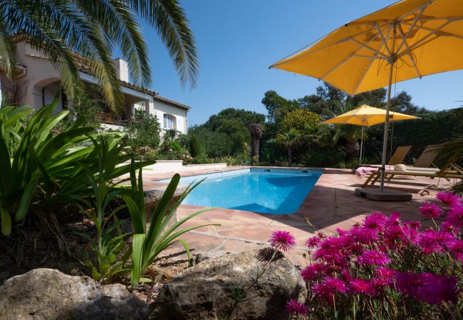 Genießen Sie die vielen Blumen rund um den Pool im Ferienhaus 83TEIL - Meerblick - Sainte-Maxime, Côte d'Azur