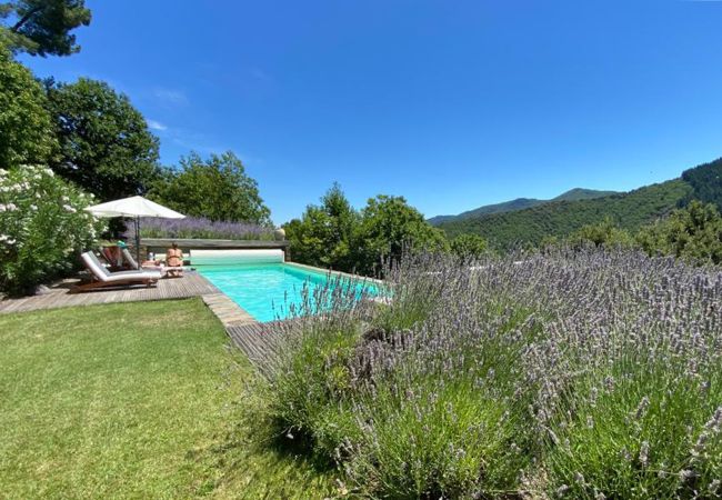 Entdecken Sie den bezaubernden Pool von La Bastide 48BAST, umgeben von Lavendel, grünen Rasenflächen und blühenden Oleandern