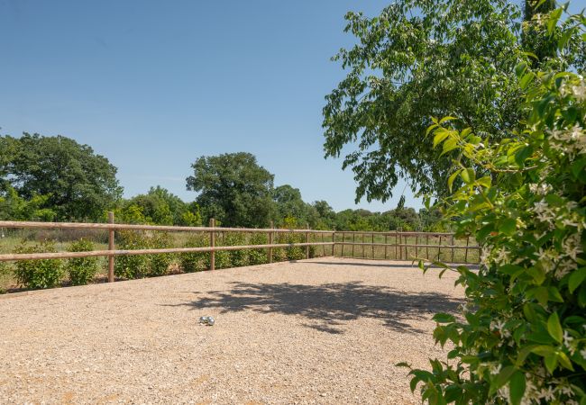 Villa in Viols-en-Laval - Mas de l'Avit Villa in Viols-en-Laval - Mas de l'Avit