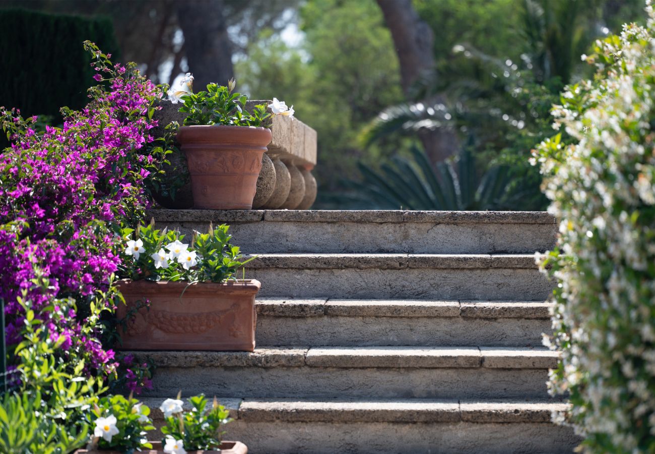 Villa in Sainte-Maxime - La Vue des Pins