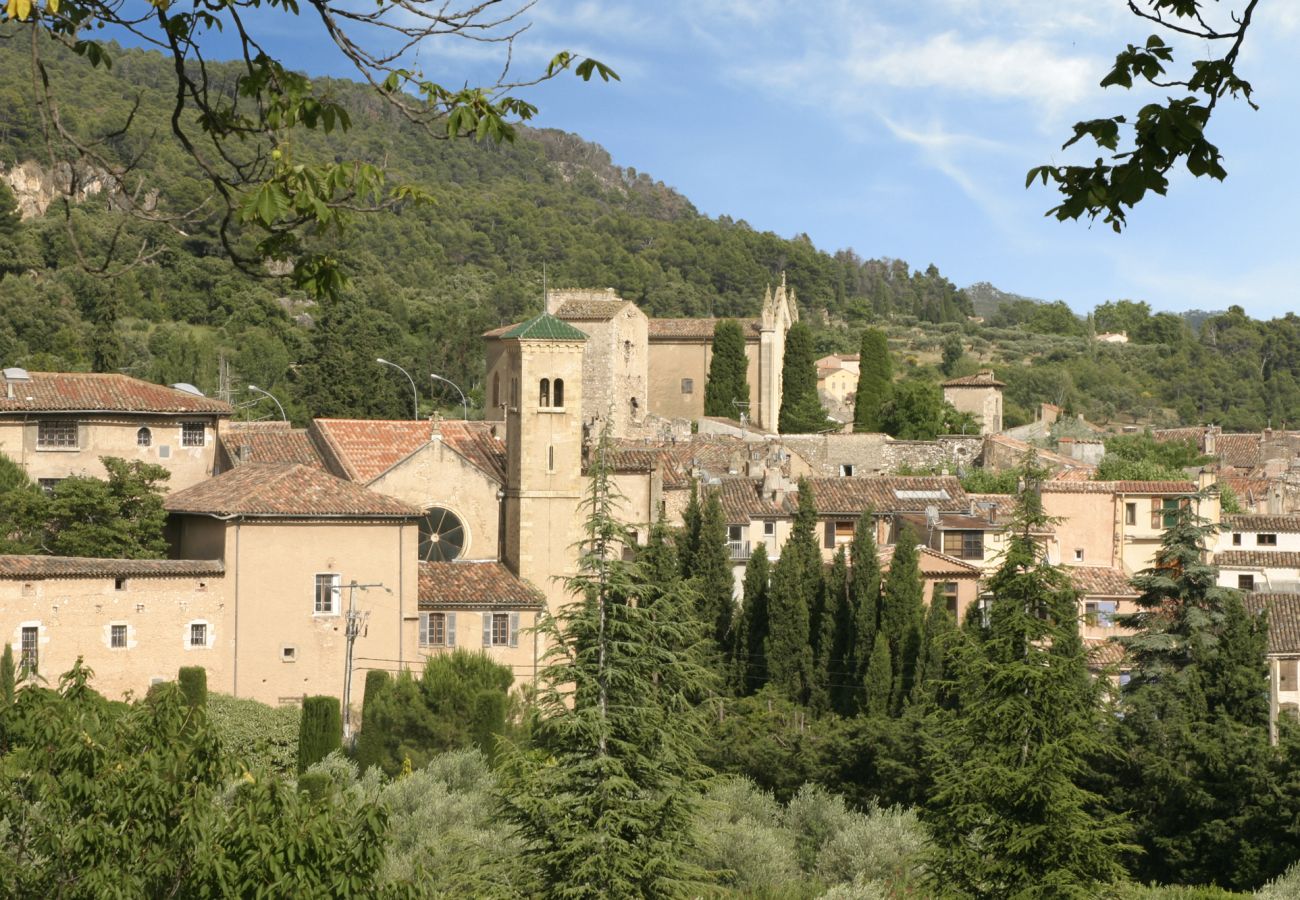 Villa in Flayosc - Mas sur la Colline