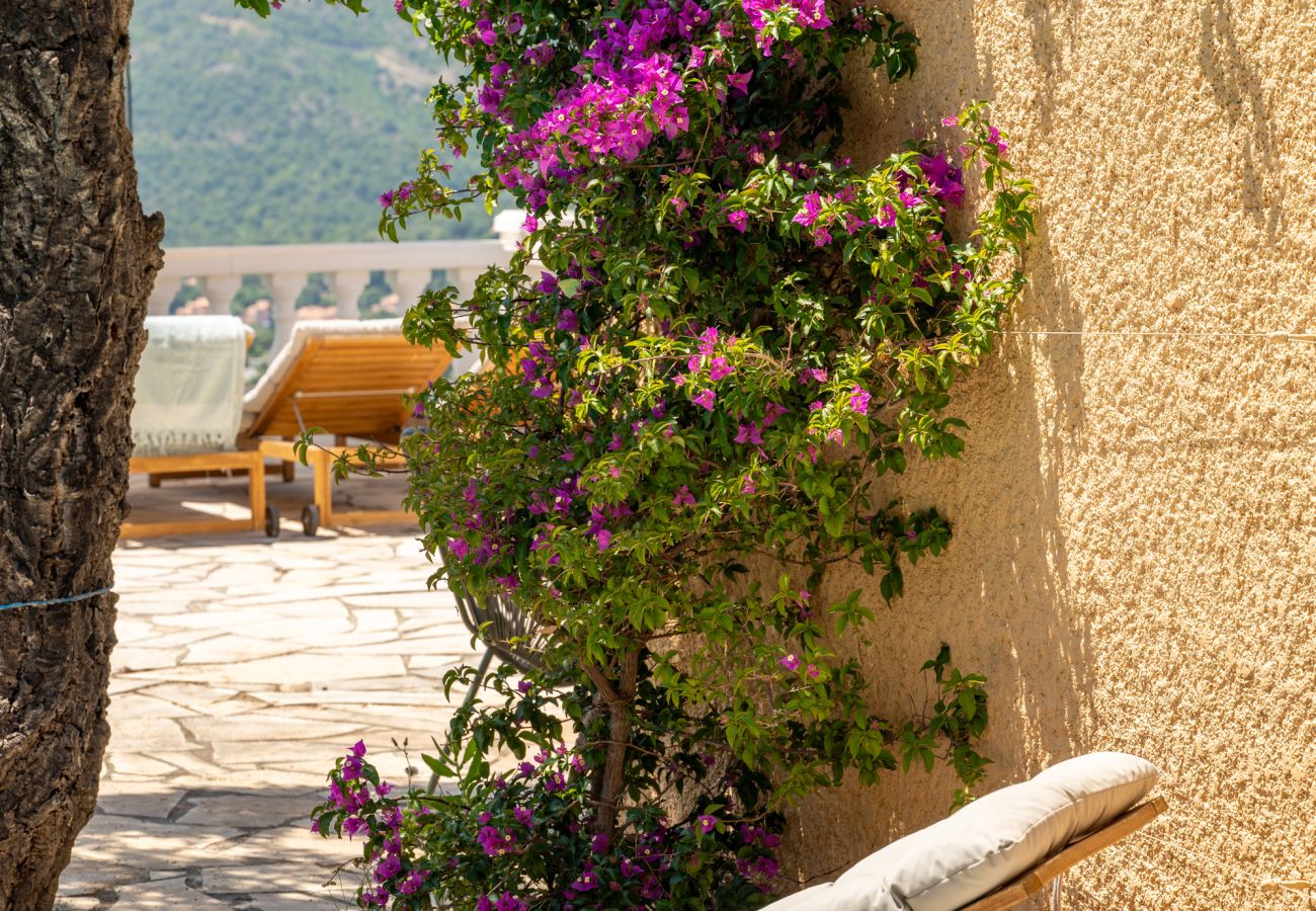 Villa in Les Issambres - Panorama Azur