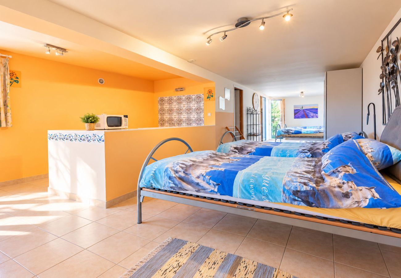Villa in Nyons - La Vallée