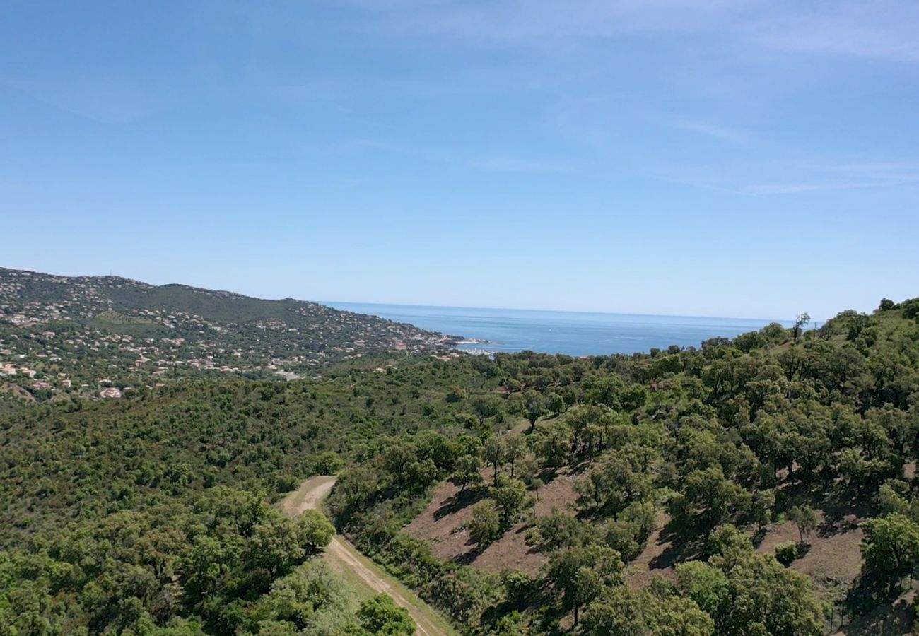 Apartment in Sainte-Maxime - 83GSUD · Apartment Le Grand Cap
