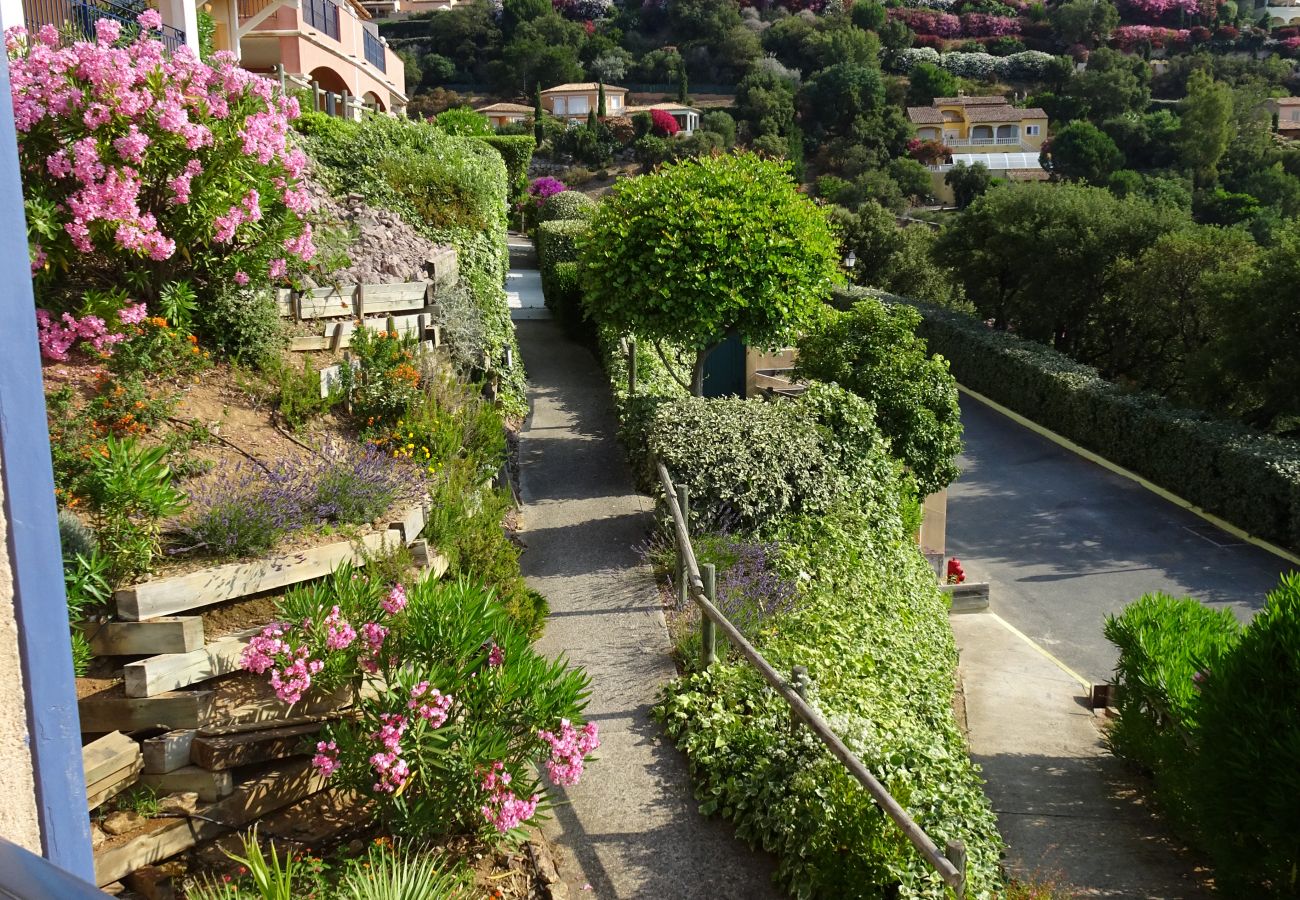 Apartment in Sainte-Maxime - 83GSUD · Apartment Le Grand Cap