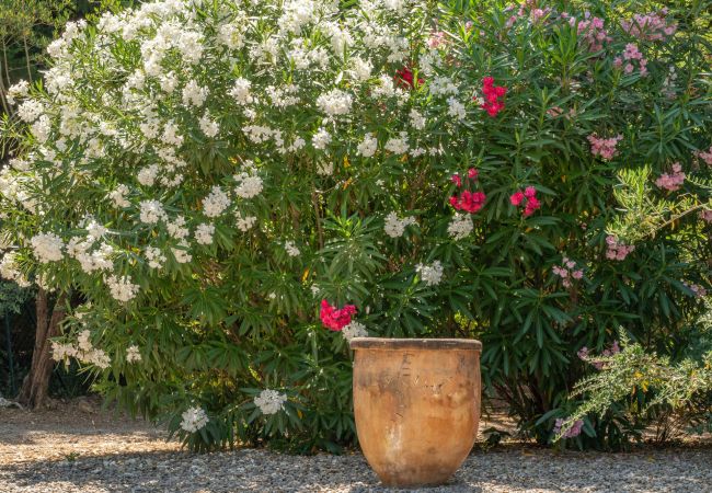 Villa in Lorgues - Mas de Charles Villa in Lorgues - Mas de Charles