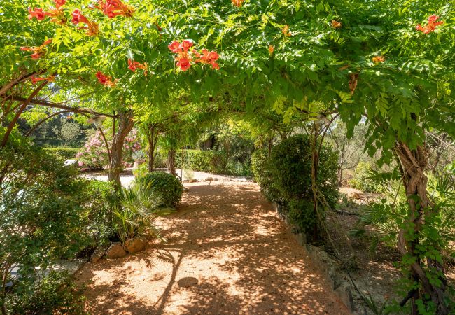 Villa in Lorgues - Mas de Charles Villa in Lorgues - Mas de Charles