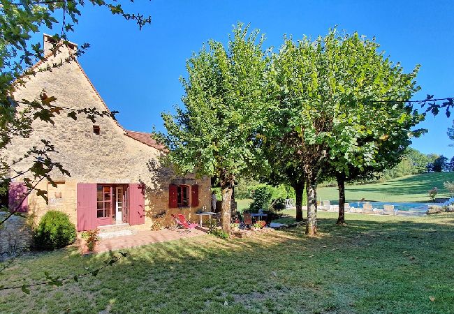 Villa/Dettached house in Saint-Avit-Sénieur - Senieur