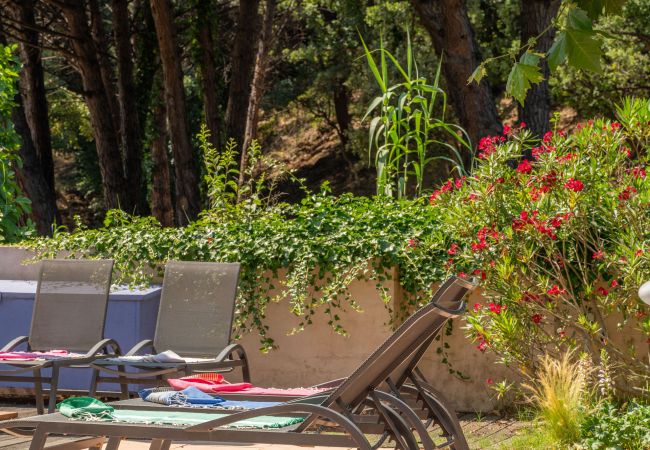 Villa in Sainte-Maxime - Ambiance Villa in Sainte-Maxime - Ambiance