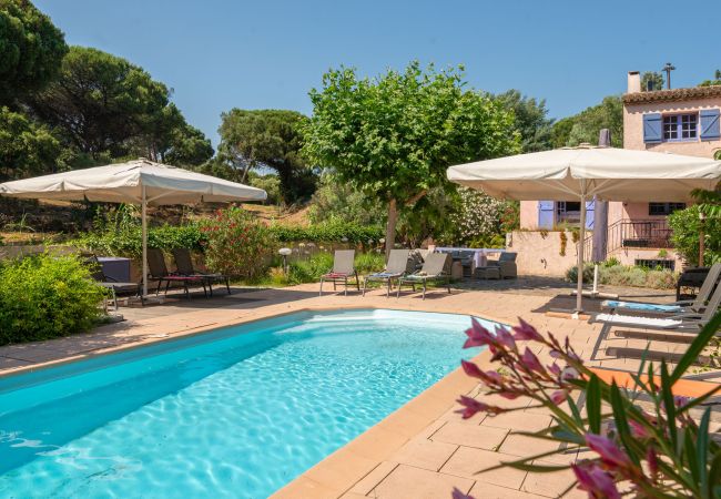 Villa in Sainte-Maxime - Ambiance Villa in Sainte-Maxime - Ambiance