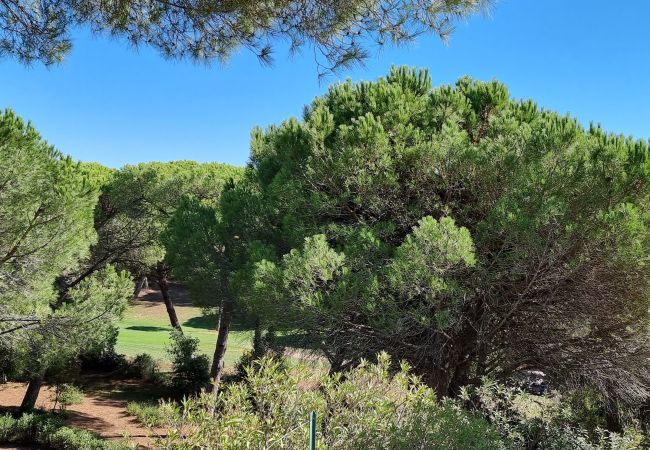 Green of Golf de Valescure, adjacent to garden of vacation home 83VAGU, Côte d'Azur