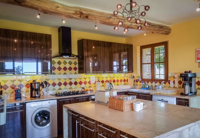 Villa in Lorgues - L'Olivier Doux Villa in Lorgues - L'Olivier Doux