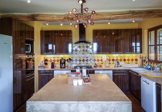 Villa in Lorgues - L'Olivier Doux Villa in Lorgues - L'Olivier Doux