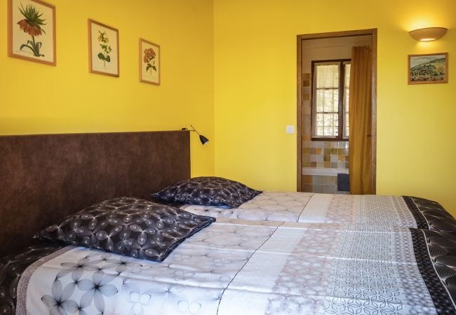 Villa in Lorgues - L'Olivier Doux Villa in Lorgues - L'Olivier Doux