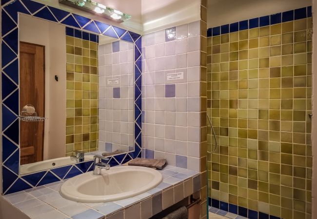 Villa in Lorgues - L'Olivier Doux Villa in Lorgues - L'Olivier Doux