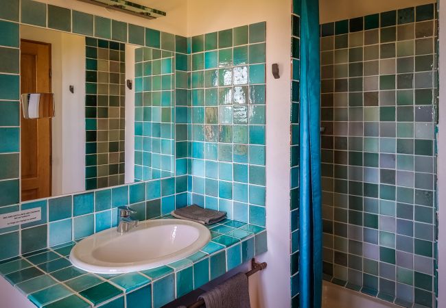 Villa in Lorgues - L'Olivier Doux Villa in Lorgues - L'Olivier Doux