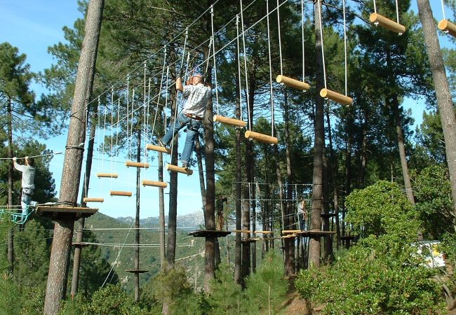 83BOLD climbing park and water park in Vidauban 12km from Lorgues, Provence, southern France