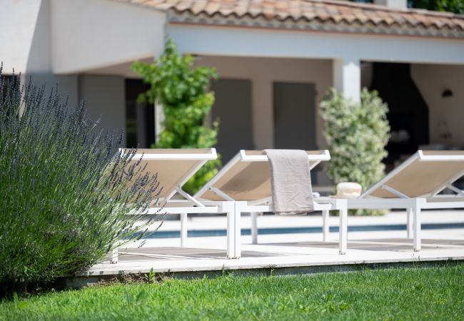 Large lavender bush and sun loungers by the pool at Villa Beaumont in Malaucène, Provence.