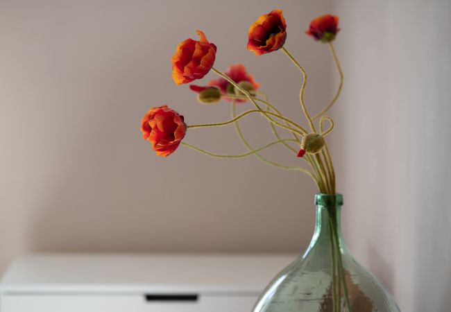 Villa in Carcès - Oliviera Villa in Carcès - Oliviera