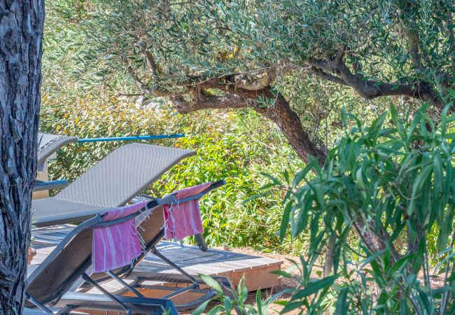 Villa in Carcès - Oliviera Villa in Carcès - Oliviera