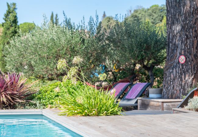 Villa in Carcès - Oliviera Villa in Carcès - Oliviera