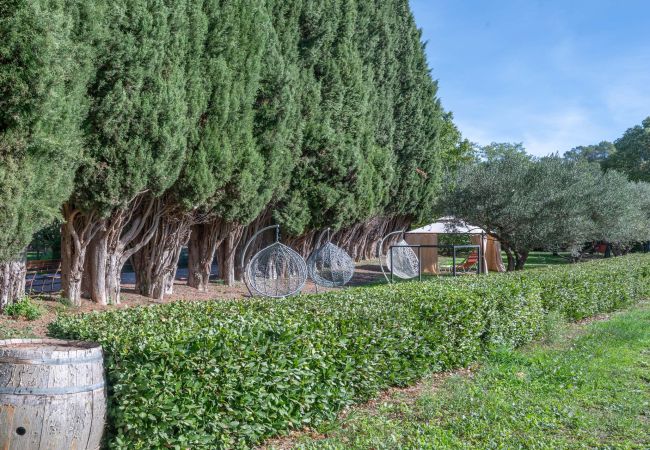 Villa in Carcès - Oliviera Villa in Carcès - Oliviera