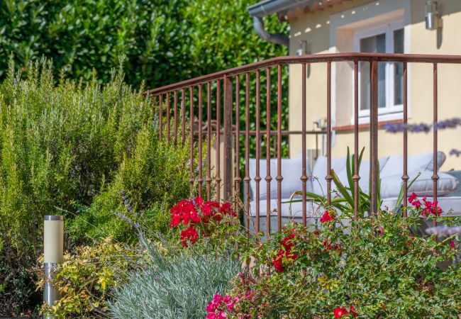 Villa in Lorgues - Vigna Villa in Lorgues - Vigna