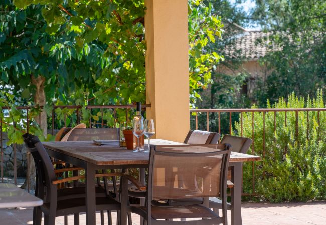 Villa in Lorgues - Vigna Villa in Lorgues - Vigna