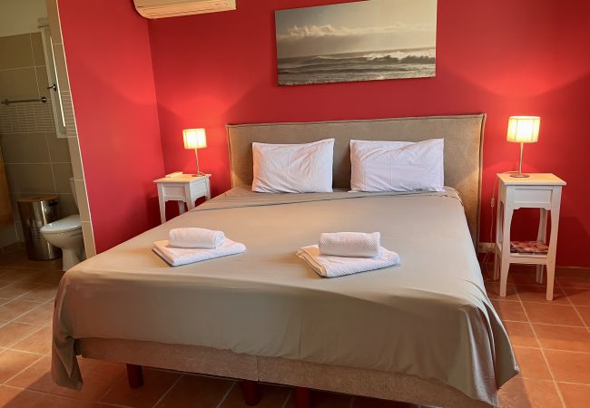 Villa in Lorgues - Vigna Villa in Lorgues - Vigna