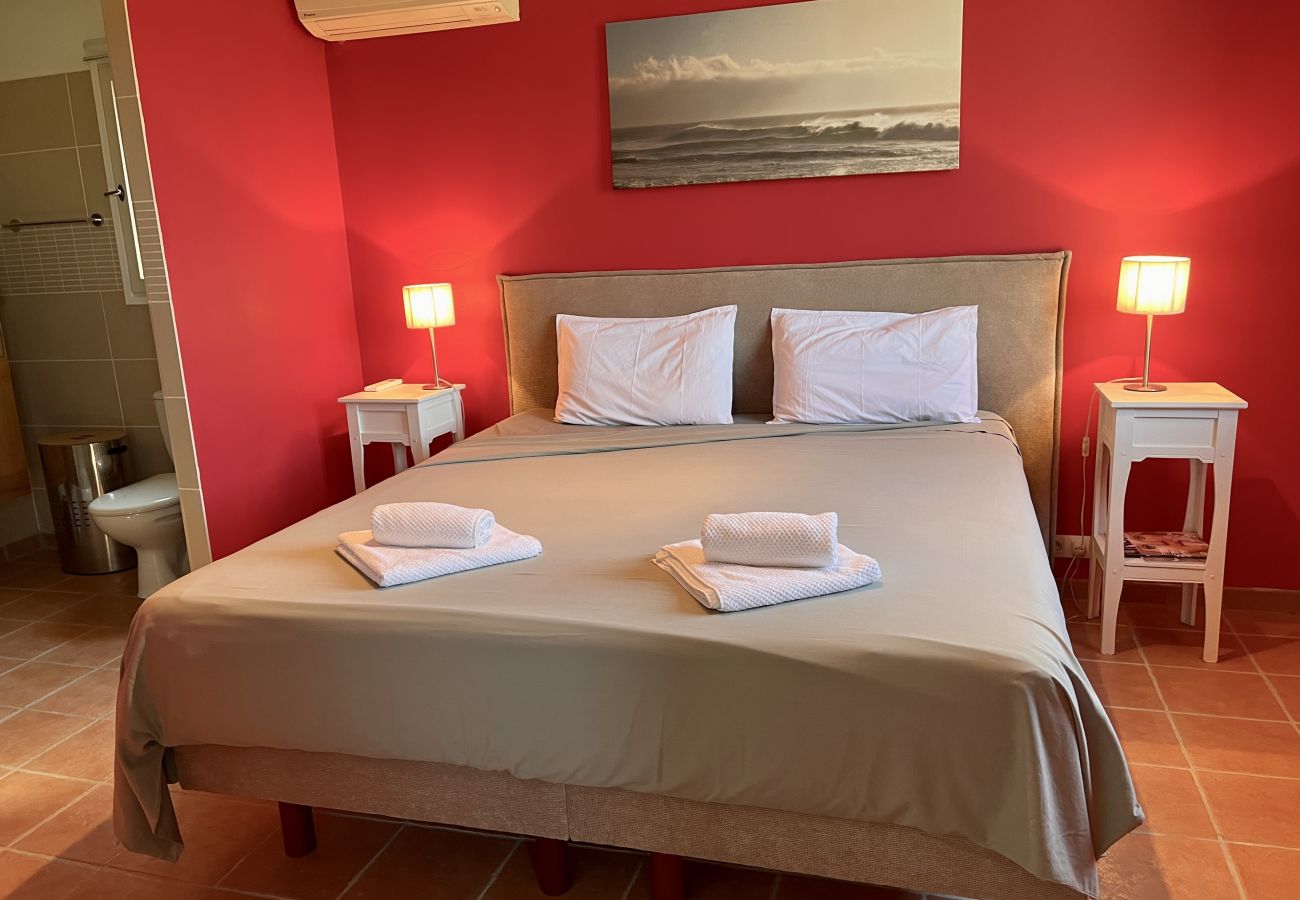 Villa in Lorgues - Vigna Villa in Lorgues - Vigna