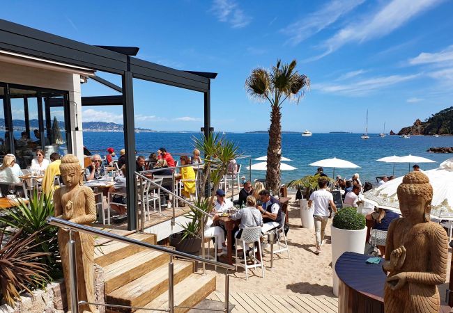 House in Montauroux - Zenvilla-Pho House in Montauroux - Zenvilla-Pho