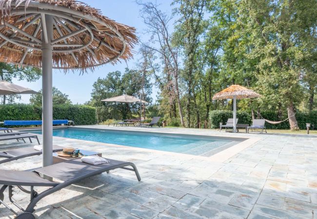 House in Montauroux - Zenvilla-Go House in Montauroux - Zenvilla-Go