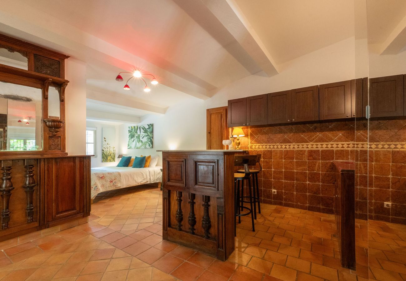 Villa in Lorgues - Maison Bruno