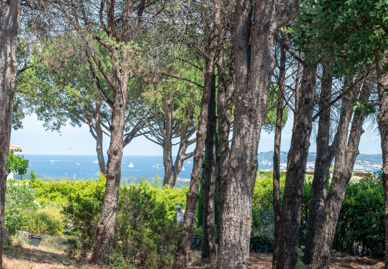 Villa in Grimaud - Peridron