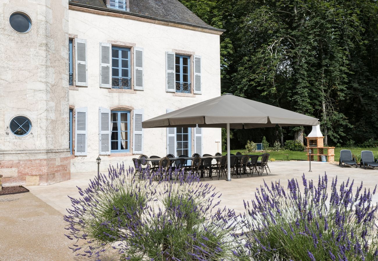 Villa in Cuisery - Château de Montrevost