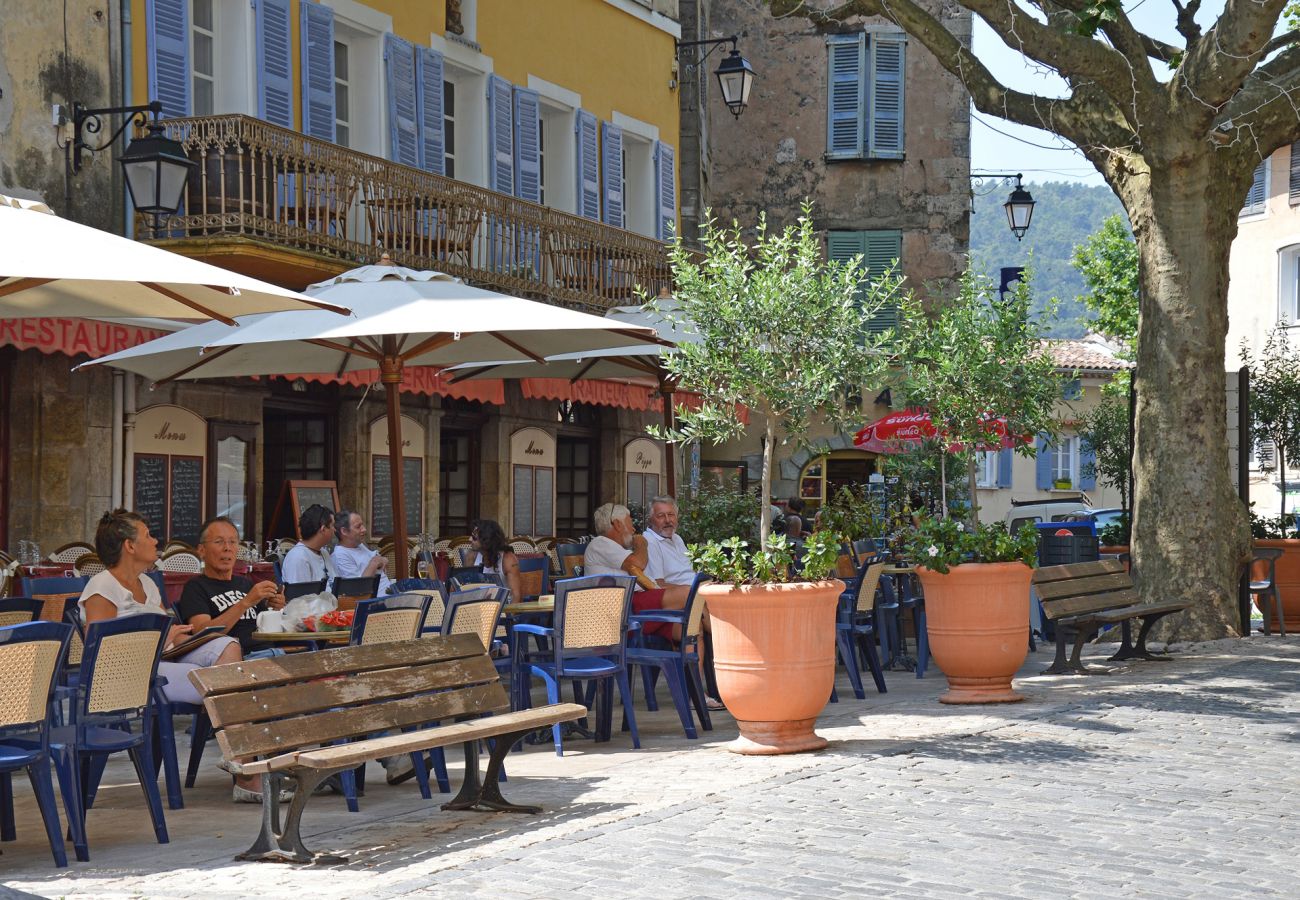 Villa in Bargemon - Oliviers de Bargemon