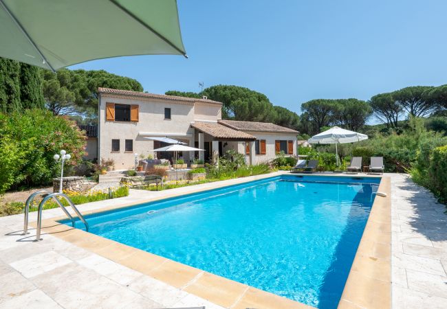 Villa in Vidauban - Villa Parete