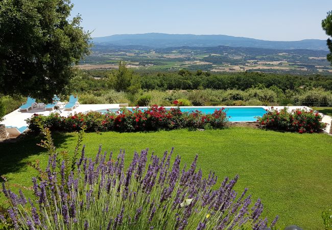 Belle vue sur les champs de lavande, la pelouse et la piscine - Villa Chris, Murs, Lubéron, Provence